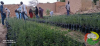visite chef antenne au tchad 7